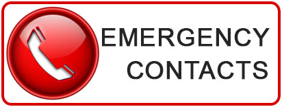 emergency contacts