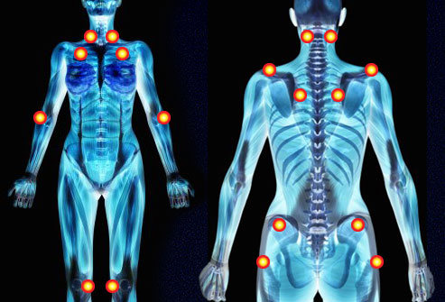 getty rm photo of skeletal images