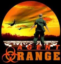 Why is it so important that a new official account  of the Agent Orange controversy be commissioned.